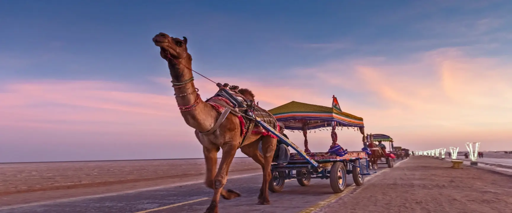 Kutch Rann Utsav